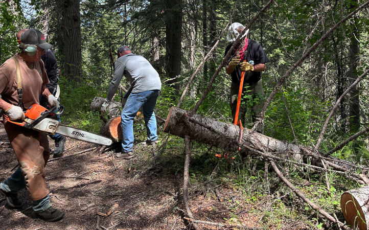 Nokomis Meadows Trail Cleanup
